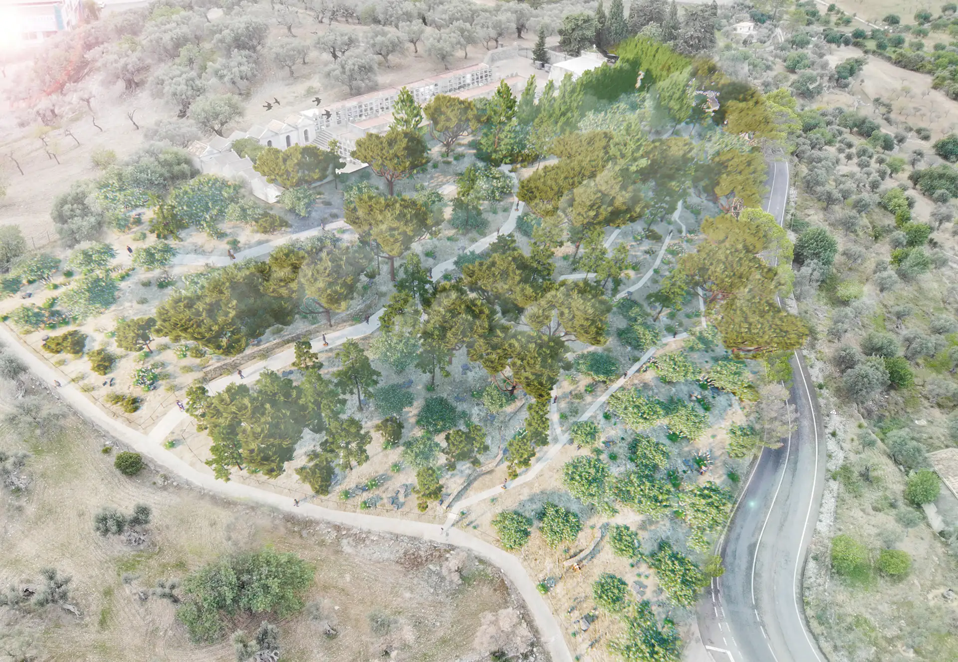Imagen aérea que muestra un bosque mediterráneo con caminos serpenteantes, árboles y una integración armónica con el entorno natural.